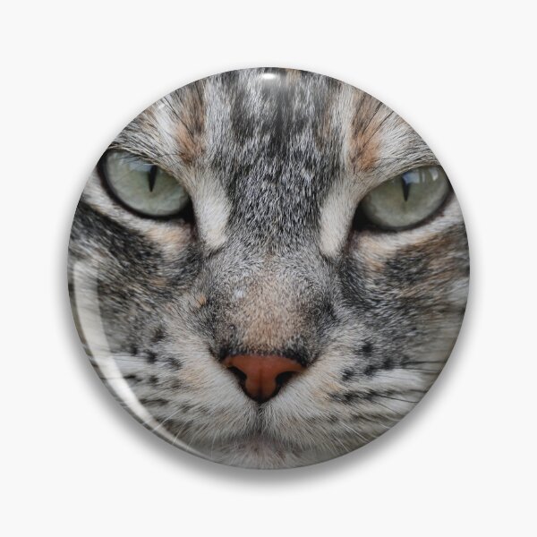 Item preview, Close-up of a cat's face designed and sold by bagiolita.