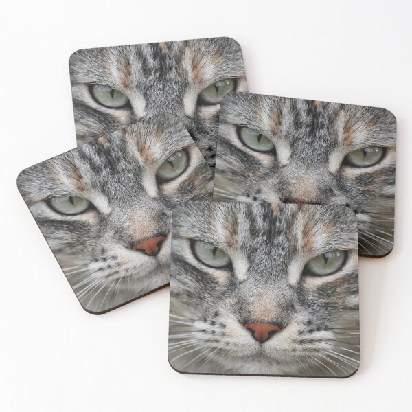 Item preview, Close-up of a cat's face designed and sold by bagiolita.