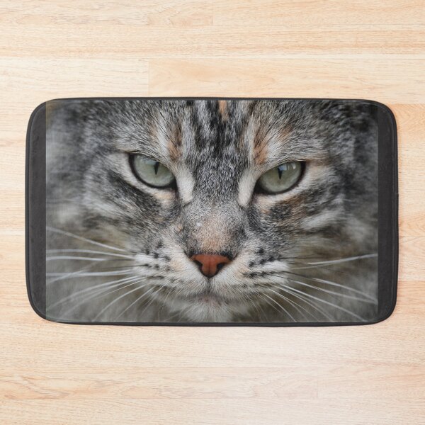 Item preview, Close-up of a cat's face designed and sold by bagiolita.