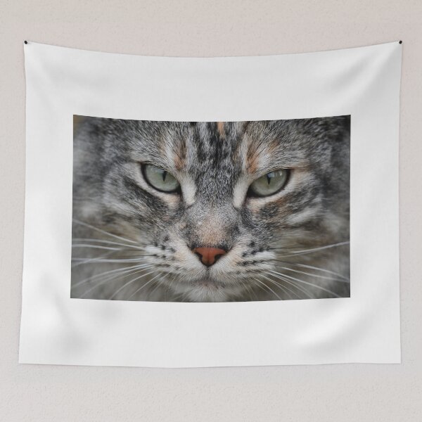 Item preview, Close-up of a cat's face designed and sold by bagiolita.