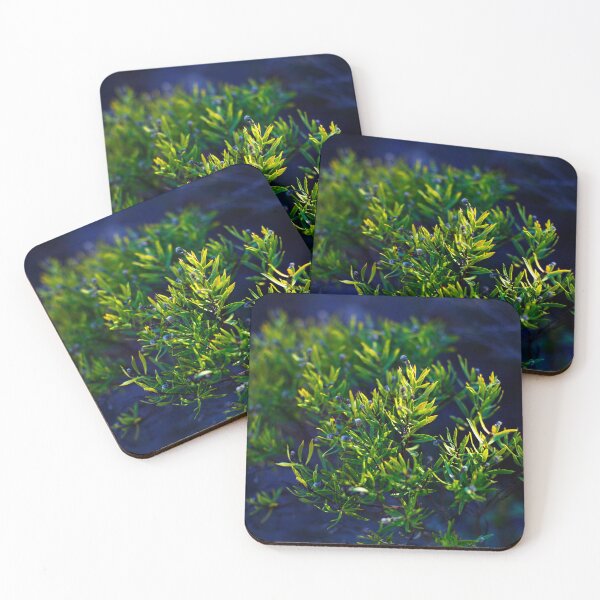 Item preview, The beauty of the nature designed and sold by Sara Sanchez PHOTO.