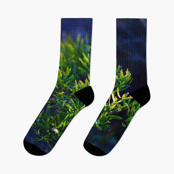 Item preview, The beauty of the nature designed and sold by Sara Sanchez PHOTO.