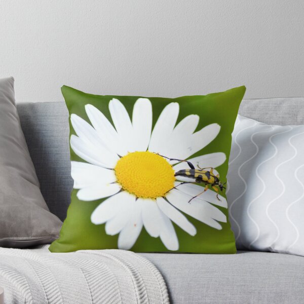 Item preview, Longhorn beetle on daisy designed and sold by paulie157.