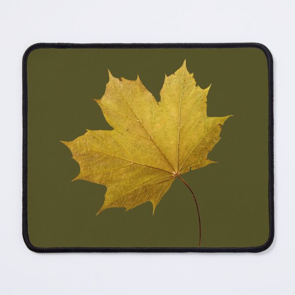 Item preview, Yellowish green maple leaf changing color for fall designed and sold by KRFNatureGifts.