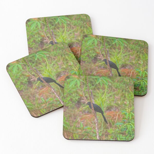 Item preview, Sla ani designed and sold by pcfyi.