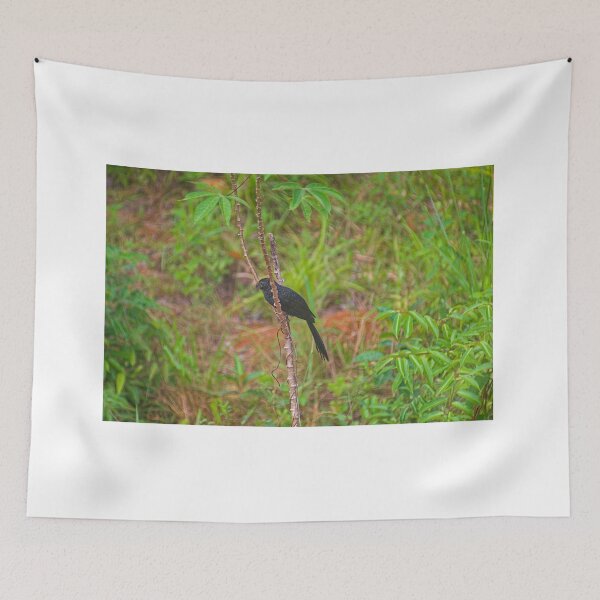 Item preview, Sla ani designed and sold by pcfyi.