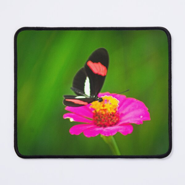 Item preview, Sla butterfly designed and sold by pcfyi.