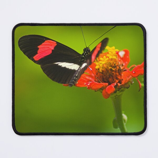 Item preview, Sla boxcar on a button designed and sold by pcfyi.