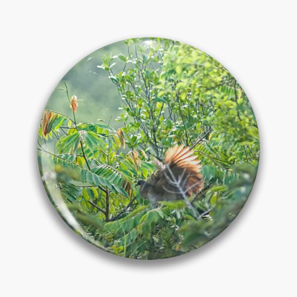 Item preview, Sla chachalaca designed and sold by pcfyi.