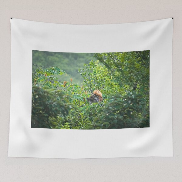 Item preview, Sla chachalaca designed and sold by pcfyi.