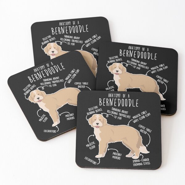 Item preview, Bernedoodle Recessive Yellow Bicolor Dog Anatomy designed and sold by Clara Hollins.