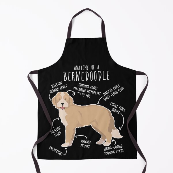 Item preview, Bernedoodle Recessive Yellow Bicolor Dog Anatomy designed and sold by Clara Hollins.