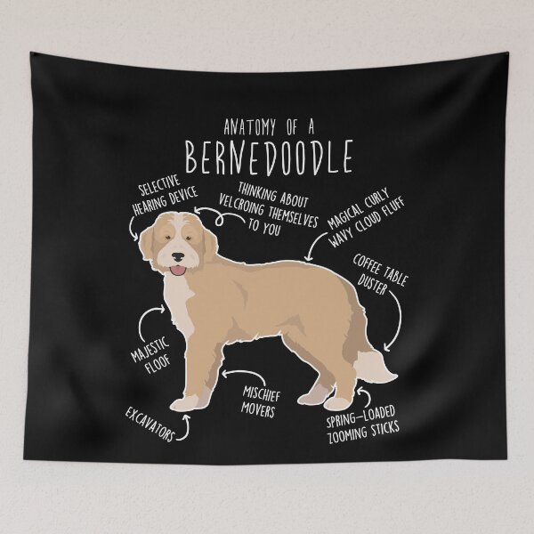 Item preview, Bernedoodle Recessive Yellow Bicolor Dog Anatomy designed and sold by Clara Hollins.