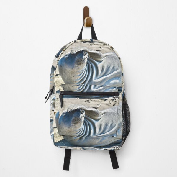 Item preview, Funny Elephant Seal Flipper over Head Thinking Oh My Fine Art Photo designed and sold by Yogibear & Rachelle .
