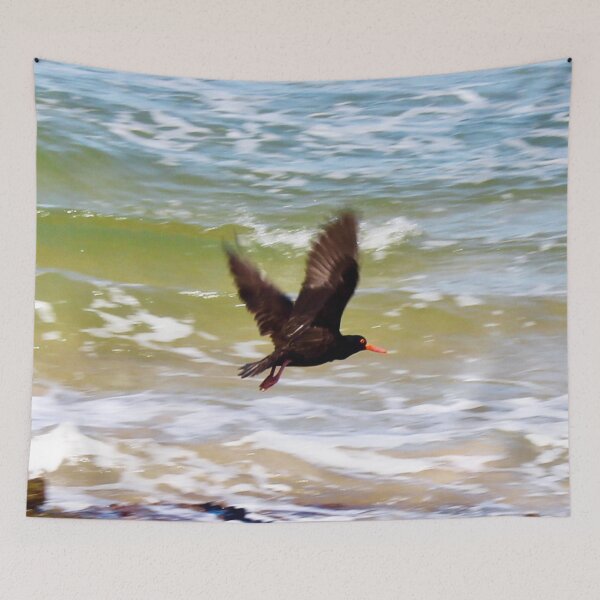 Item preview, The Flight of the Oystercatcher! designed and sold by Mickangelhere.
