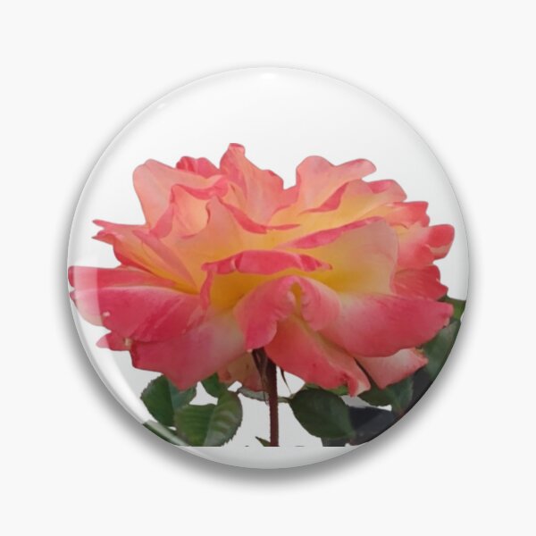 Item preview, Pink Rose With Yellow Highlights  designed and sold by CarolBeeDesigns.