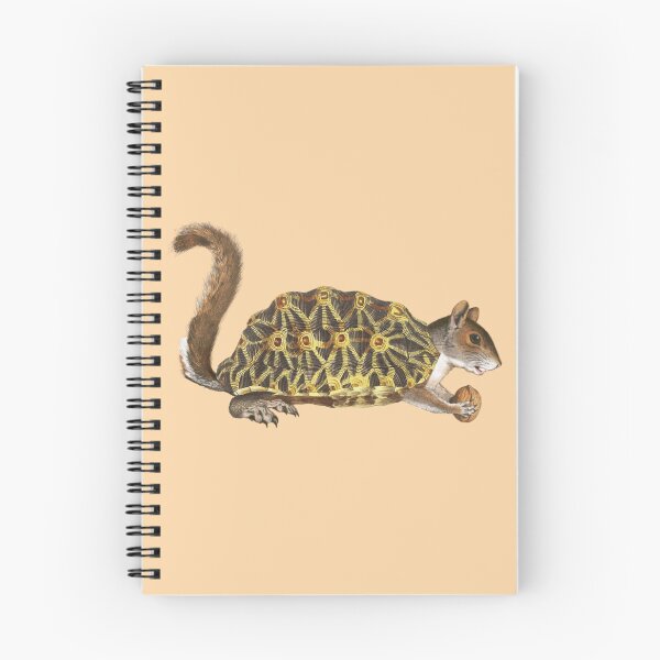 Item preview, The Squir-urtle designed and sold by Cuno Ahlers.