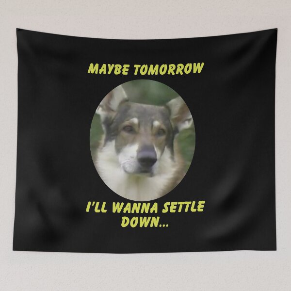 Item preview, The Dog Hobo Show Shiloh Shepherd designed and sold by Greenbacks.