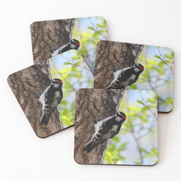 Item preview, Male Downy Woodpecker designed and sold by Alyce Taylor.