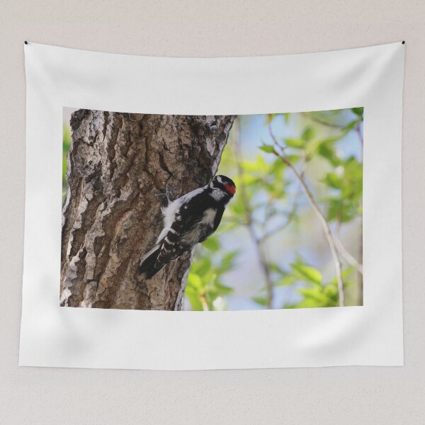 Item preview, Male Downy Woodpecker designed and sold by Alyce Taylor.