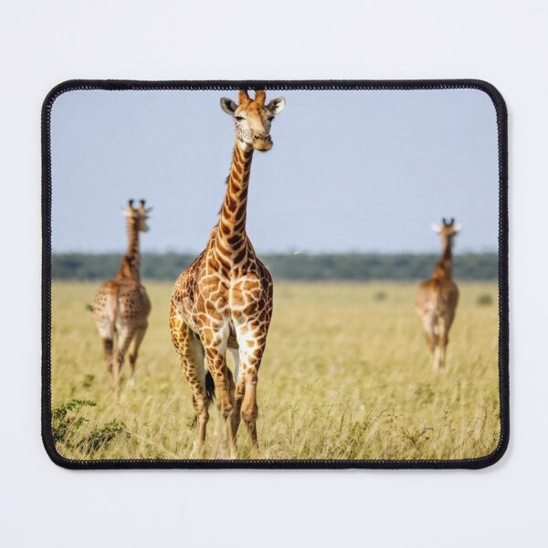 Item preview, La Course des Girafes designed and sold by Collection de trésors .