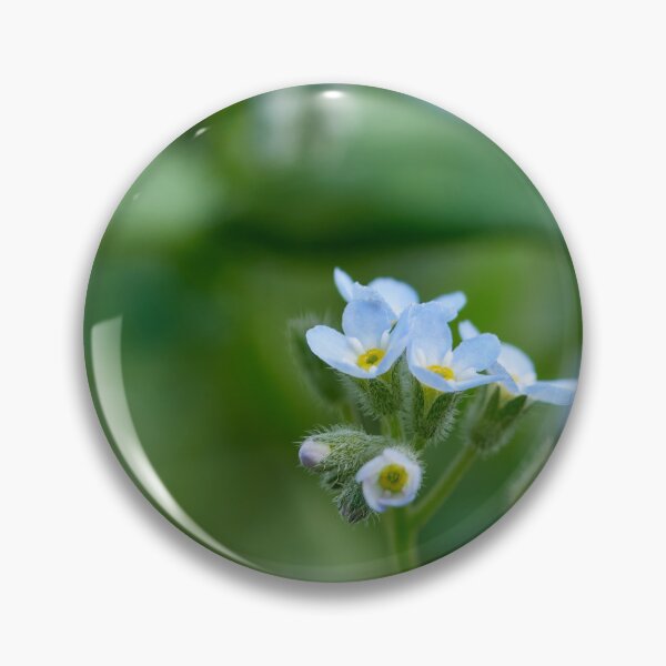 Item preview, Minimini. Feld forget-me-not designed and sold by Jouko Lehto Photography.