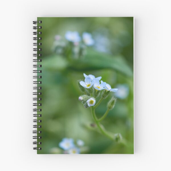 Item preview, Minimini. Feld forget-me-not designed and sold by Jouko Lehto Photography.