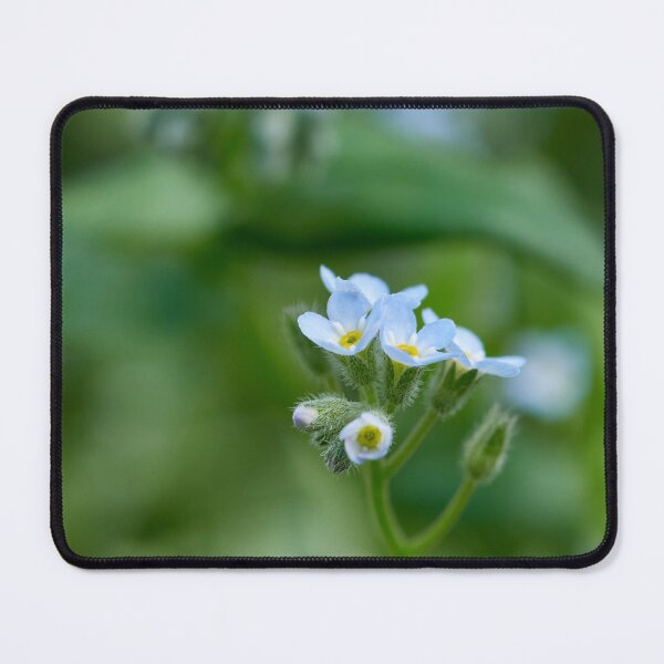 Item preview, Minimini. Feld forget-me-not designed and sold by Jouko Lehto Photography.