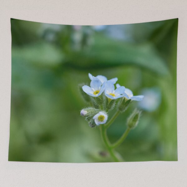 Item preview, Minimini. Feld forget-me-not designed and sold by Jouko Lehto Photography.
