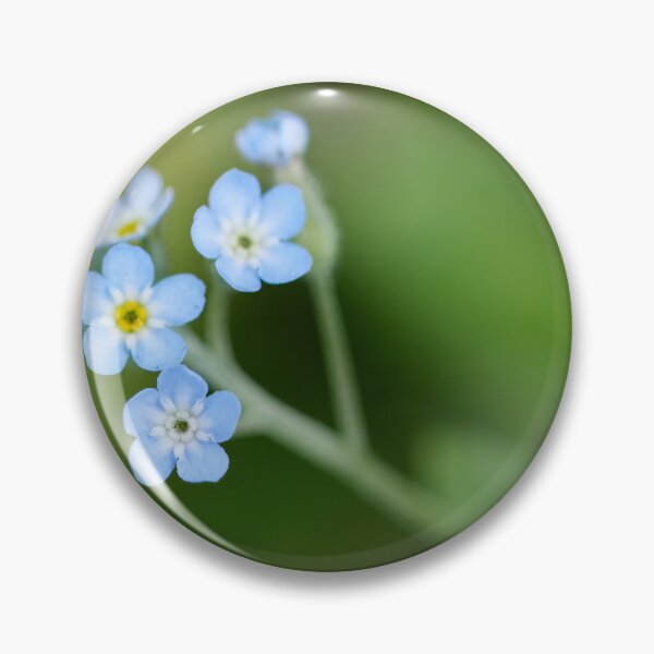 Item preview, Minimal. Feld forget-me-not designed and sold by Jouko Lehto Photography.
