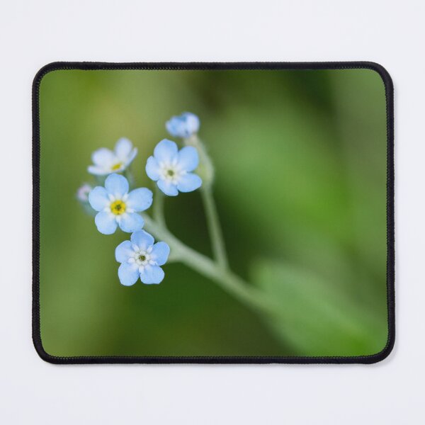 Item preview, Minimal. Feld forget-me-not designed and sold by Jouko Lehto Photography.