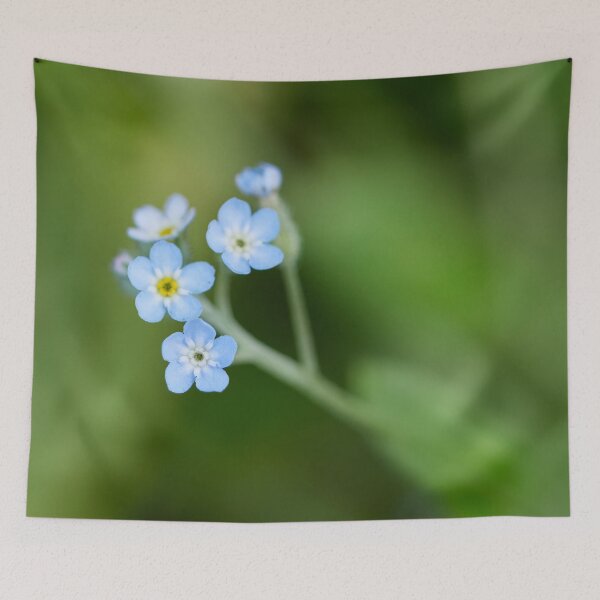 Item preview, Minimal. Feld forget-me-not designed and sold by Jouko Lehto Photography.