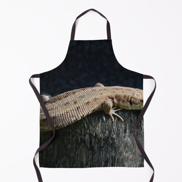 Item preview, On the black wood. Common lizard designed and sold by Jouko Lehto Photography.