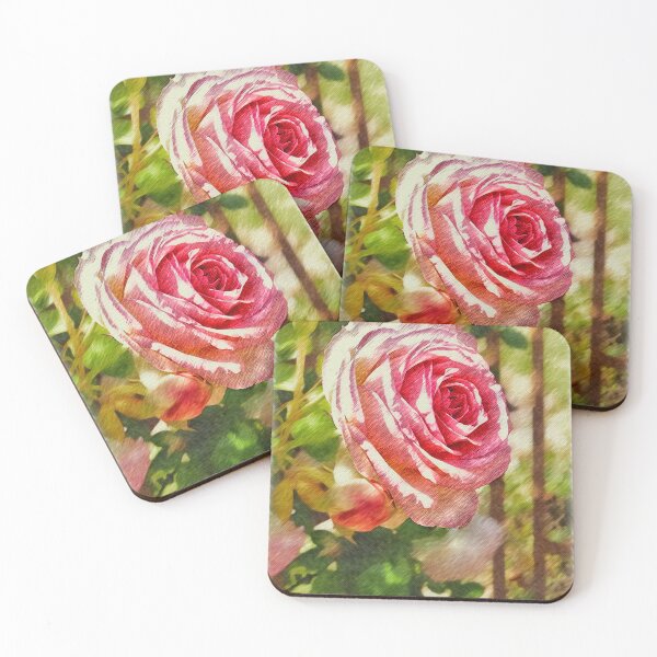 Item preview, Garden rose designed and sold by Amy Houston.