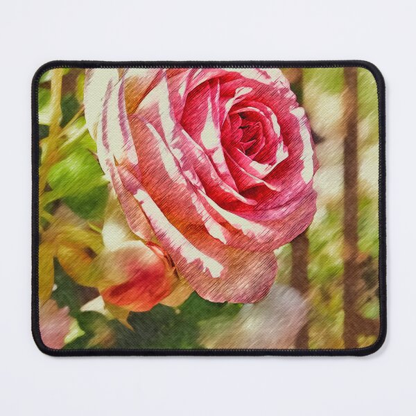 Item preview, Garden rose designed and sold by Amy Houston.