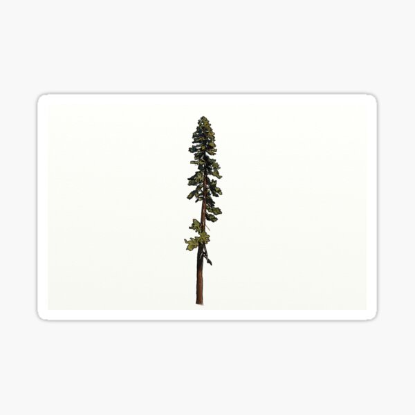 Item preview, California Red Fir Rectangle designed and sold by Ktwlf.