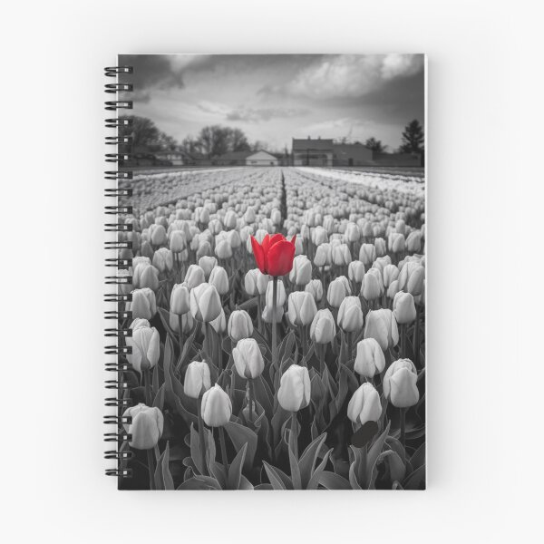 Item preview, Single Red Tulip designed and sold by Patricks-Art.