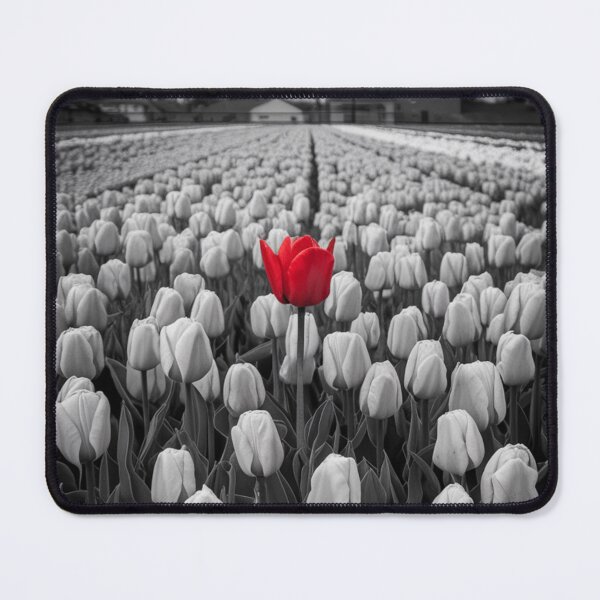 Item preview, Single Red Tulip designed and sold by Patricks-Art.