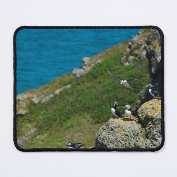 Item preview, Puffins designed and sold by photobytableau.