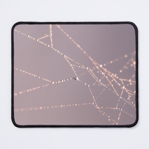 Item preview, Cobweb designed and sold by photobytableau.