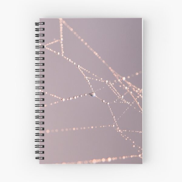 Item preview, Cobweb designed and sold by photobytableau.