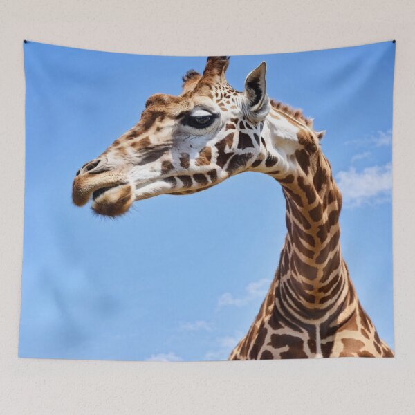 Aperçu de l'œuvre La Girafe, Un Artiste de la Nature créée et vendue par Collection de trésors .