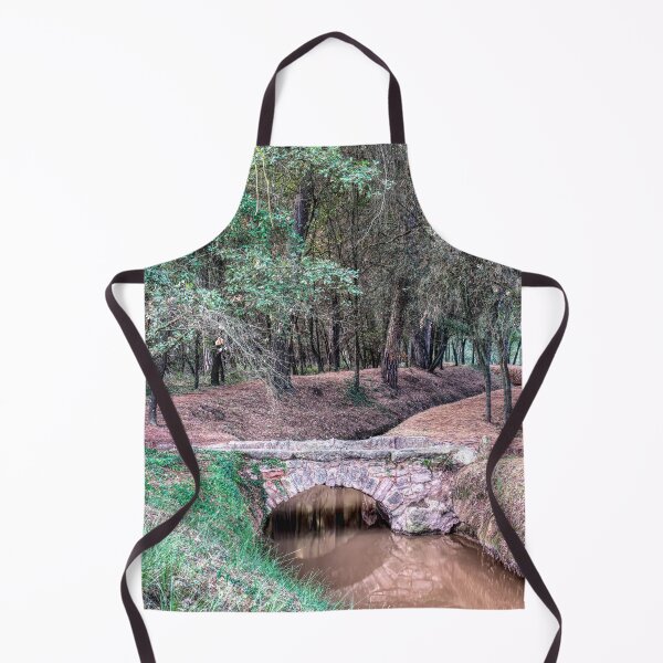 Item preview, Rustic Stone Bridge in La Séquia de Manresa Forest, Catalonia, Spain designed and sold by Marc Garrido Clotet.