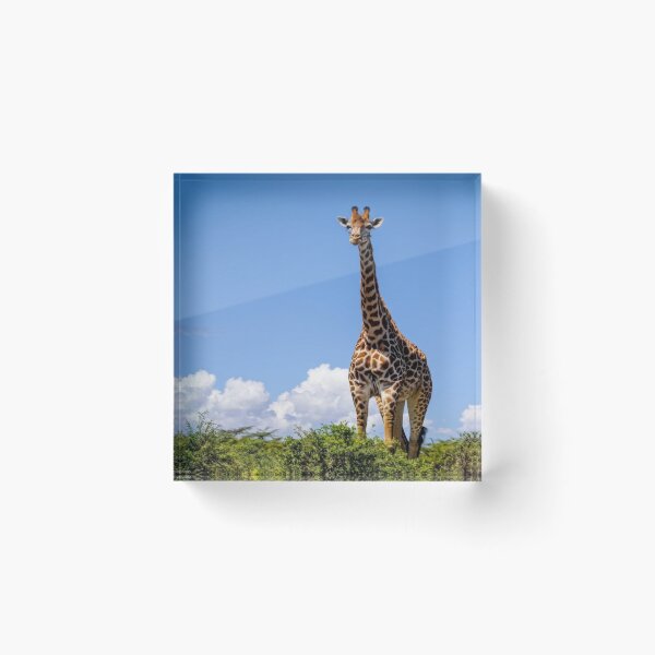 Item preview,  The Giraffe, A Symbol of Height designed and sold by Collection de trésors .