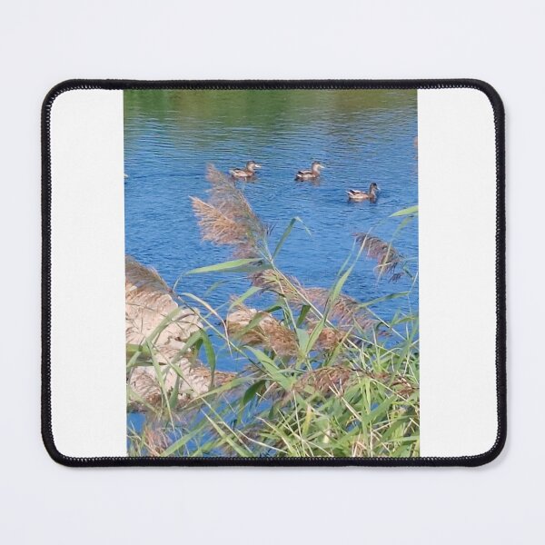 Item preview, wild life designed and sold by unity2024.