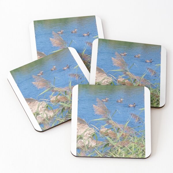 Item preview, wild life designed and sold by unity2024.