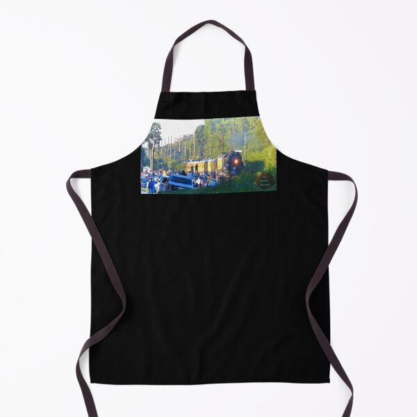 Item preview, Union Pacific #4014 BigBoy 4-8-8-4 Steam Locomotive Pic#1 designed and sold by train-shop.