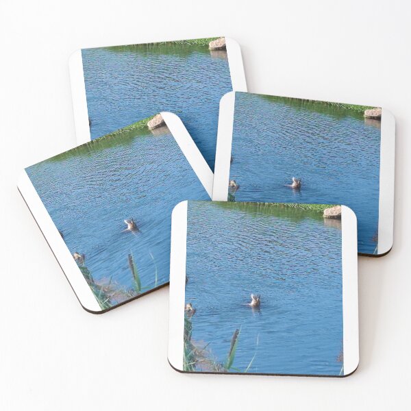 Item preview, wildlife of the shores of the Gardons designed and sold by unity2024.
