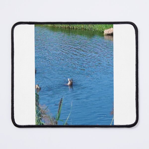 Item preview, wildlife of the shores of the Gardons designed and sold by unity2024.