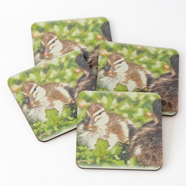 Item preview, Duck, duck… designed and sold by Amy Houston.